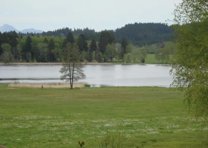 Lägenhet Dachgeschosswohnung Mit Toller Aussicht Vom Balkon By Interhome